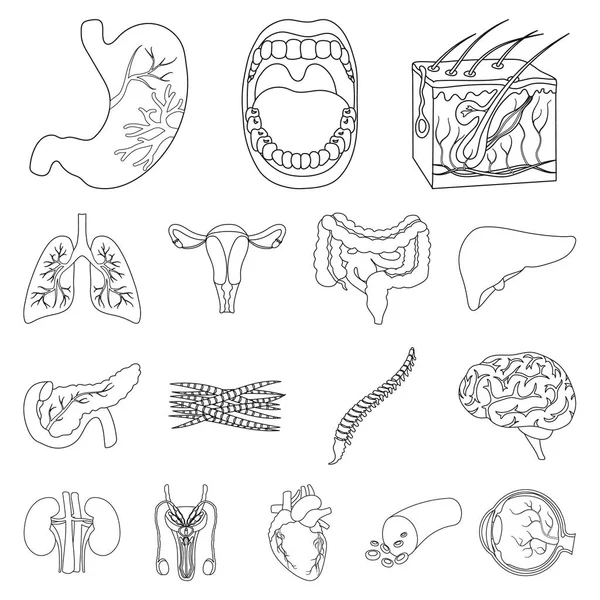 Innere Organe eines menschlichen Umrisses Ikonen in Set Sammlung für Design. Anatomie und Medizin Vektor Symbol Stock Web Illustration. — Stockvektor