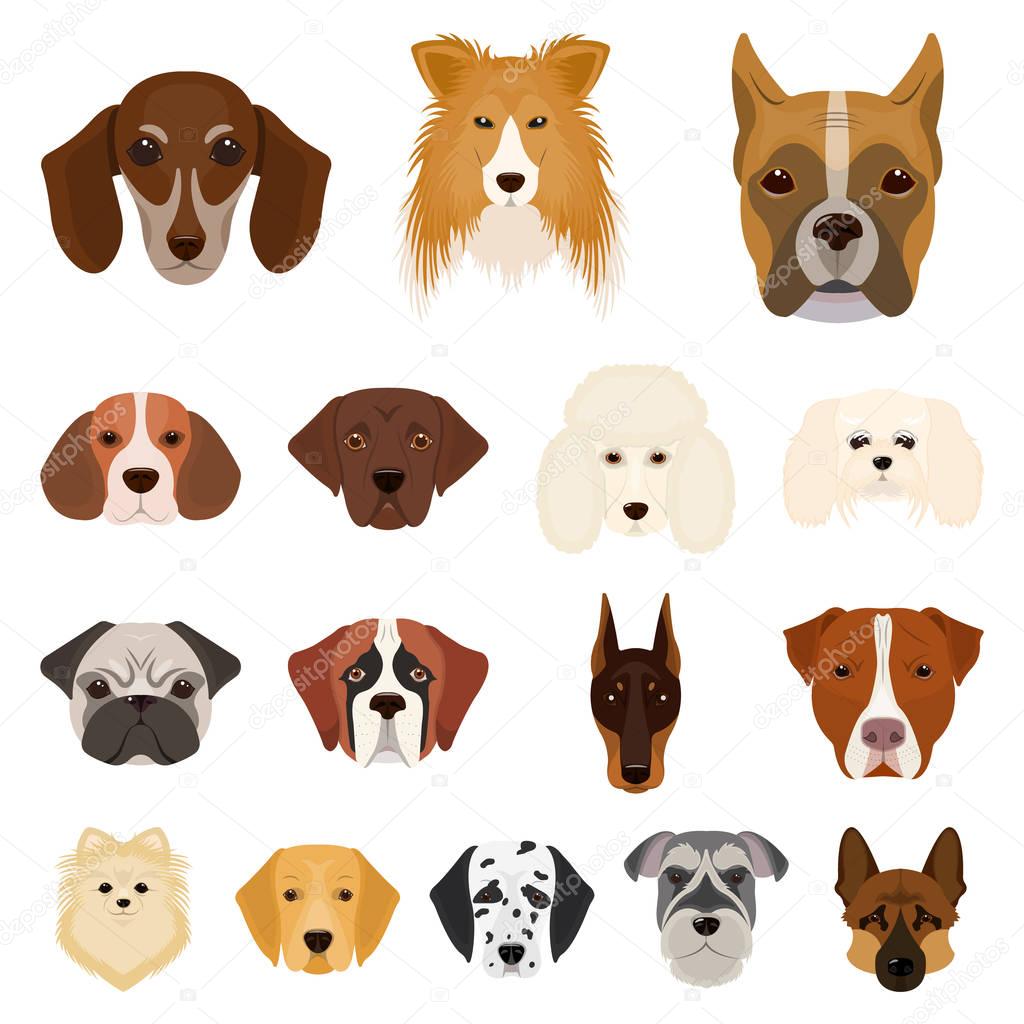 Dog breeds cartoon icons in set collection for design.Muzzle of a dog vector symbol stock web illustration.