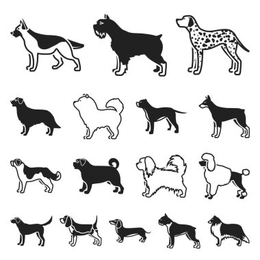 Köpek ırkları set koleksiyonu tasarım için simgeler siyah. Köpek evde beslenen hayvan vektör simge stok web çizim.