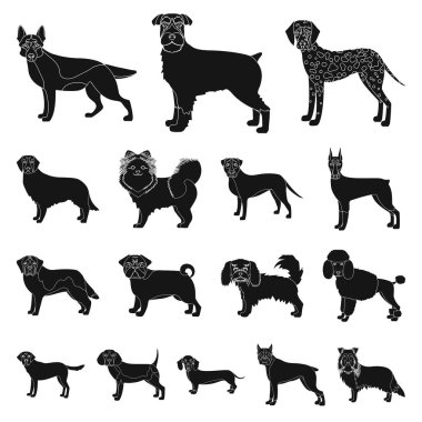 Köpek ırkları set koleksiyonu tasarım için simgeler siyah. Köpek evde beslenen hayvan vektör simge stok web çizim.