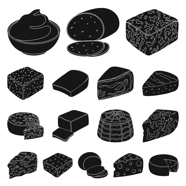 Diferentes tipos de iconos de queso negro en la colección de conjuntos para design.Milk producto queso vector símbolo stock web ilustración . — Vector de stock