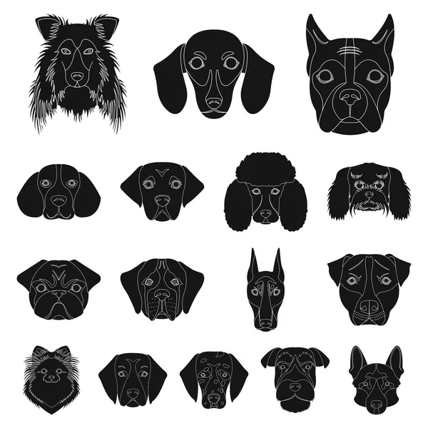 Köpek ırkları set koleksiyonu tasarım için simgeler siyah. Bir köpek vektör simge stok web illüstrasyon namlu.