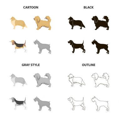 İşaretçi, köpek kömür ocağı, İskoç çoban, riesen schnauzer, ırk pekingese. Köpek ırkları toplama simgeler çizgi film siyah tek renkli anahat stili vektör simge stok çizim web içinde ayarla..