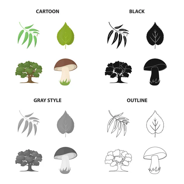 Ramo com folhas, folha, árvore na floresta, cogumelo. Floresta conjunto coleção ícones em desenhos animados preto monocromático estilo vetor símbolo estoque ilustração web . —  Vetores de Stock