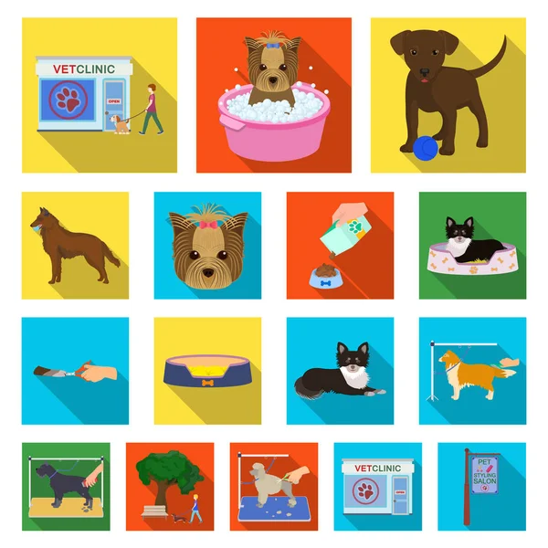 Pet ícones planos na coleção de conjuntos para design. Cuidados e educação símbolo vetor web ilustração . —  Vetores de Stock