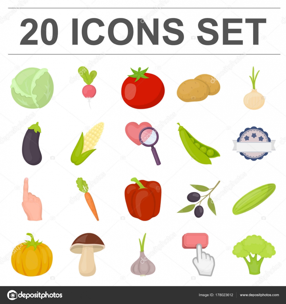 Different kinds of vegetables cartoon icons in set collection for design. Vegetables and vitamins vector symbol stock web illustration. Stock Vector Image by ©PandaVector #178023612 Different kinds of vegetables cartoon icons in set collection for design. Vegetables and vitamins vector symbol stock web illustration. Stock Vector Image by ©PandaVector #178023612