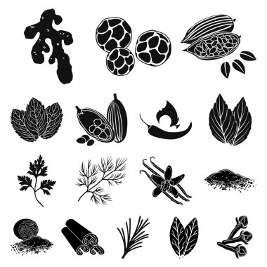 Ot ve baharat set koleksiyonu tasarım için simgeler siyah. Baharat çeşitleri simge stok web illüstrasyon vektör.
