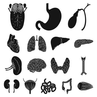 İnsan organlarını set koleksiyonu tasarım için simgeler siyah. Sembol stok web illüstrasyon vektör anatomi ve iç organlar.