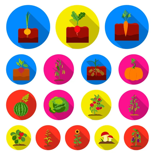 Bitki, sebze düz simgeler toplama tasarımı için ayarlayın. Bahçe ve hasat sembol stok web illüstrasyon vektör. — Stok Vektör