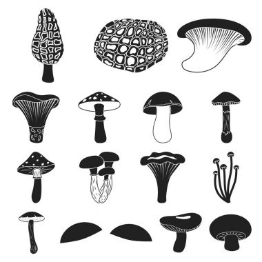 Zehirli ve yenilebilir mantar siyah simgeler set koleksiyonu tasarım için. Mantar farklı türde sembol stok web illüstrasyon vektör.