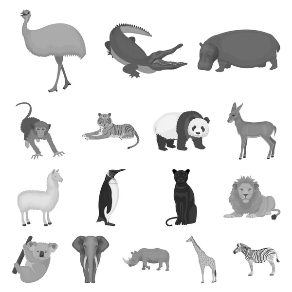 Différents animaux icônes monochromes dans la collection ensemble pour le design. Illustration de la toile du symbole vectoriel oiseau, prédateur et herbivore . — Image vectorielle