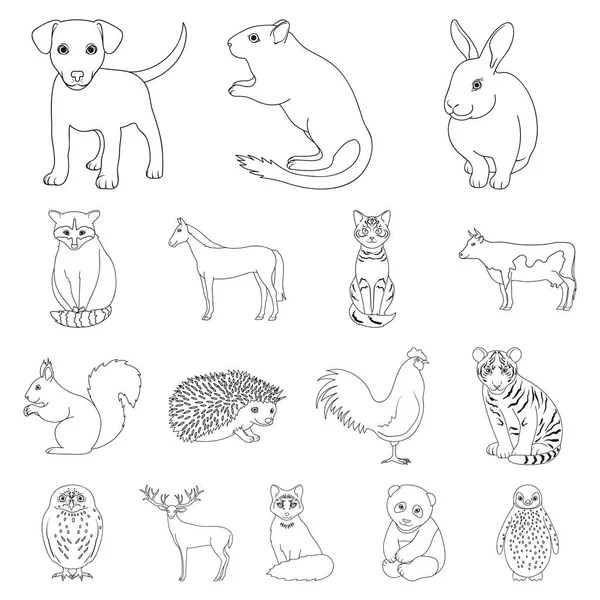 Animais realistas delineiam ícones na coleção de conjuntos para design. Animais selvagens e domésticos símbolo vetorial ilustração web . —  Vetores de Stock