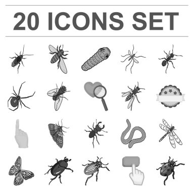 Böcekler tek renkli simgeler set koleksiyonu tasarım için farklı türde. Böcek Eklem bacaklılar vektör izometrik sembol stok web çizimi.