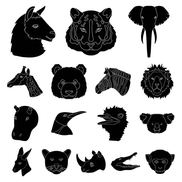 Wild dier zwarte pictogrammen in set collectie voor design. Zoogdieren en vogels symbool voorraad web vectorillustratie. — Stockvector