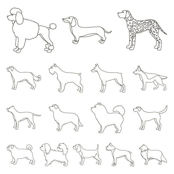 Raças de cães delinear ícones na coleção de conjuntos para design.Dog animal de estimação símbolo vetorial ilustração web . — Vetor de Stock