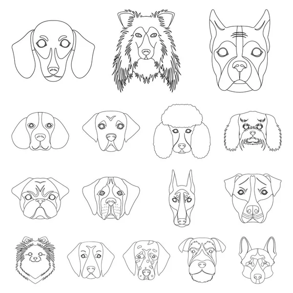 犬の品種は、設計のためのセットのコレクションのアイコンを概説します。犬のベクトル シンボル ストック web 図の銃口. — ストックベクタ