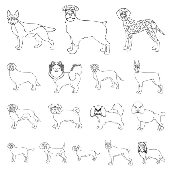 Φυλές σκύλων περίγραμμα εικονίδια στη συλλογή σετ για σχεδιασμό. Σκύλος συντροφιάς διάνυσμα σύμβολο μετοχών web εικονογράφηση. — Διανυσματικό Αρχείο