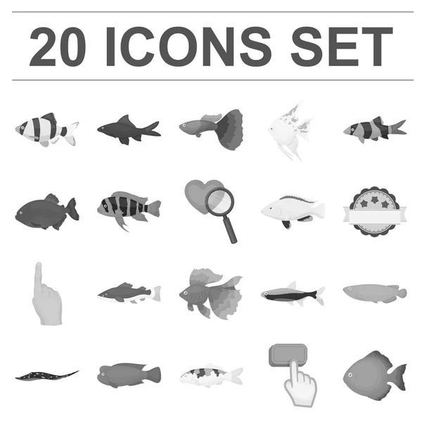 Diferentes tipos de peces iconos monocromáticos en la colección de conjuntos para el diseño. Marino y acuario peces vector símbolo stock web ilustración . — Vector de stock