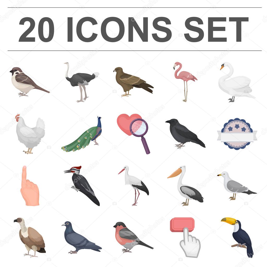 Types of birds cartoon icons in set collection for design. Home and wild bird vector symbol stock  illustration.