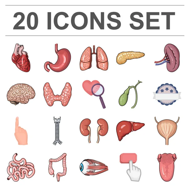 Ícones de desenhos animados de órgãos humanos na coleção de conjuntos para design. Anatomia e órgãos internos símbolo vetorial web ilustração . — Vetor de Stock