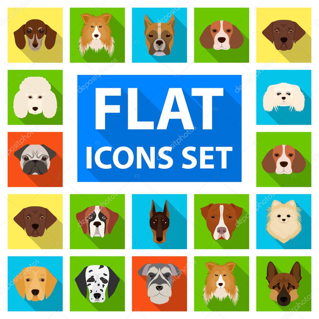 Dog breeds flat icons in set collection for design.Muzzle of a dog vector symbol stock  illustration.