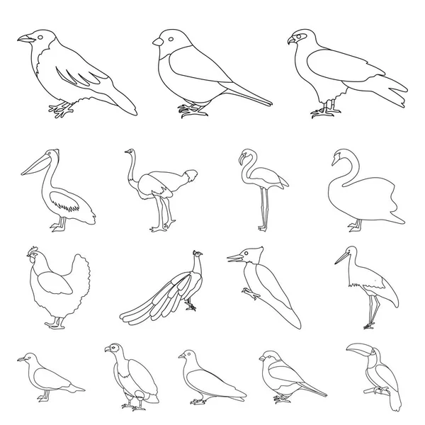 鳥の種類は、設計のためのセットのコレクションのアイコンを概説します。ホームと野生の鳥ベクトル シンボル ストック web イラスト. — ストックベクタ