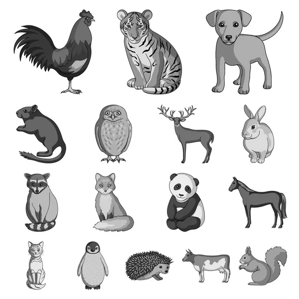 Realistiska djur svartvita ikoner i set insamling för design. Vilda och tama djur vektor symbol lager web illustration. — Stock vektor
