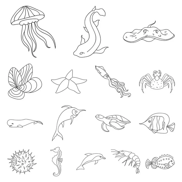 Una variedad de animales marinos esbozan iconos en la colección de conjuntos para el diseño. Peces y mariscos vector símbolo stock web ilustración . — Vector de stock