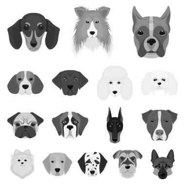 Köpek ırkları set koleksiyonu tasarım için tek renkli simgeler. Bir köpek vektör simge stok web illüstrasyon namlu.