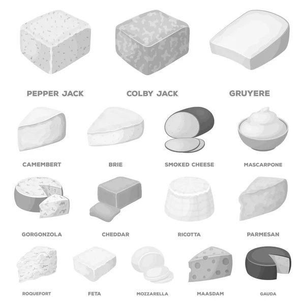 Diferentes tipos de iconos de queso monocromo en la colección de conjuntos para design.Milk producto queso vector símbolo stock web ilustración . — Vector de stock
