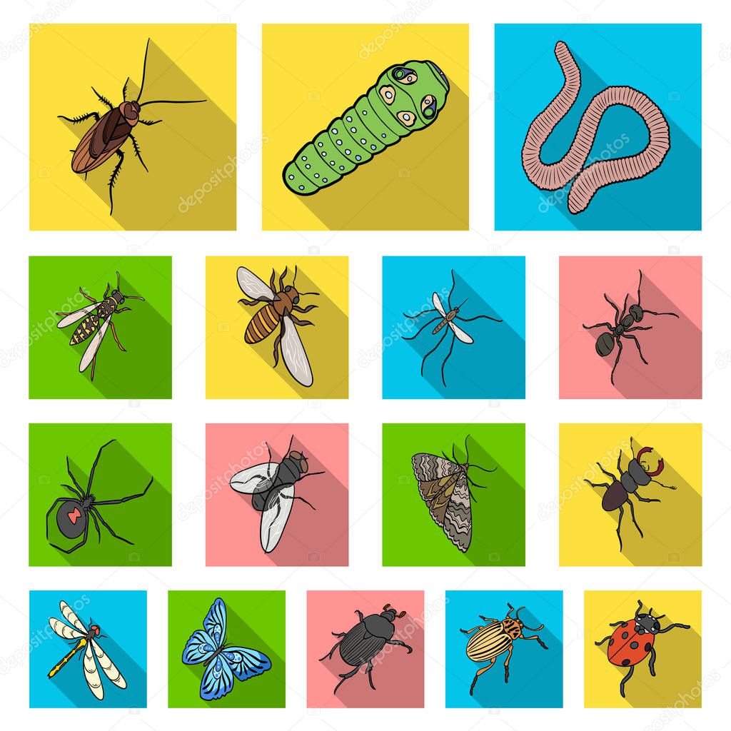 Different kinds of insects flat icons in set collection for design. Insect arthropod vector isometric symbol stock  illustration.