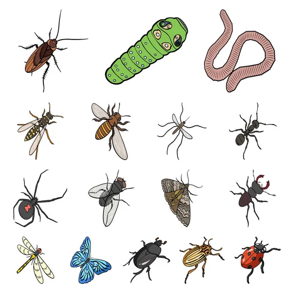 Différents types d'icônes de dessin animé insectes dans la collection de jeu pour la conception. Insecte arthropode vecteur isométrique symbole stock web illustration . — Image vectorielle