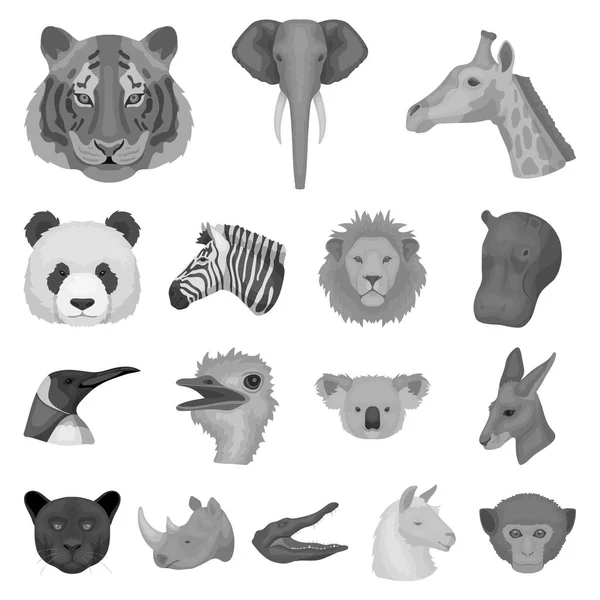Vilda djur svartvita ikoner i set insamling för design. Däggdjurs- och fågelarter vektor symbol lager web illustration. — Stock vektor