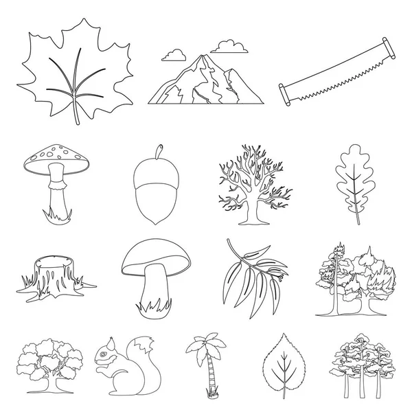 Forest and nature outline icons in set collection for design. Forest life vector symbol stock web illustration. — Stock Vector