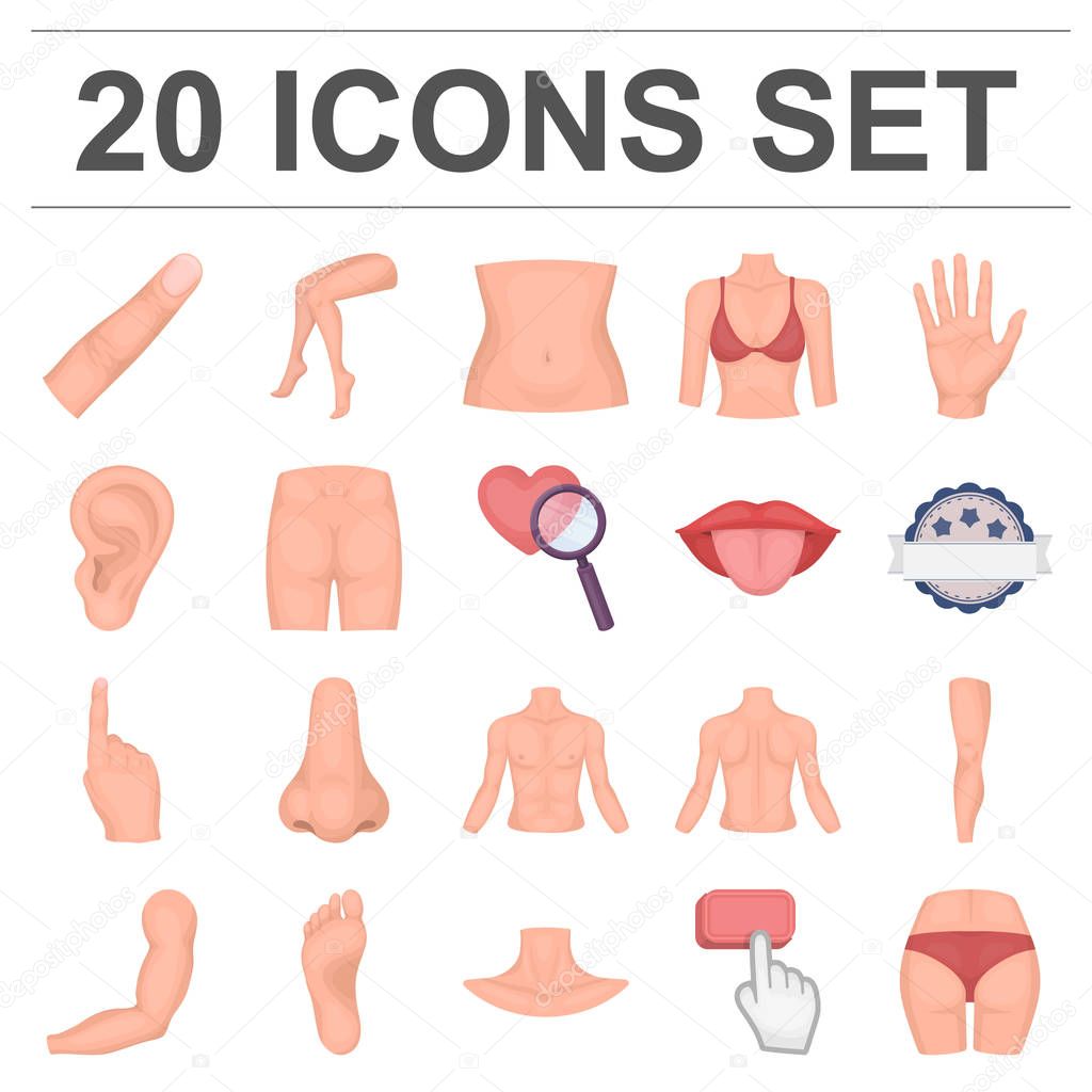 Part of the body, limb cartoon icons in set collection for design. Human anatomy vector symbol stock  illustration.