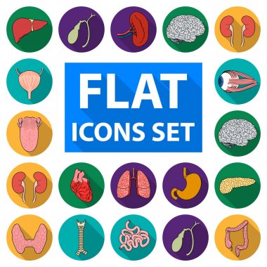 İnsan organlarını set koleksiyonu tasarım için simgeleri düz. Sembol stok web illüstrasyon vektör anatomi ve iç organlar.