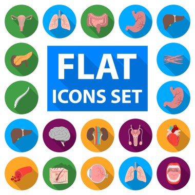 Tasarımı için iç organları bir insan düz simgelerin ayarlamak koleksiyonu. Anatomi ve tıp vektör simge stok web çizim.