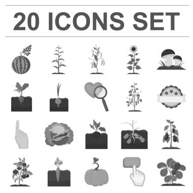 Bitki, sebze tek renkli simgeler toplama tasarımı için ayarlayın. Bahçe ve hasat sembol stok web illüstrasyon vektör.