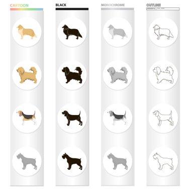 İşaretçi, köpek kömür ocağı, İskoç çoban, riesen schnauzer, ırk pekingese. Köpek ırkları toplama simgeler çizgi film siyah tek renkli anahat stili vektör simge stok çizim web içinde ayarla..