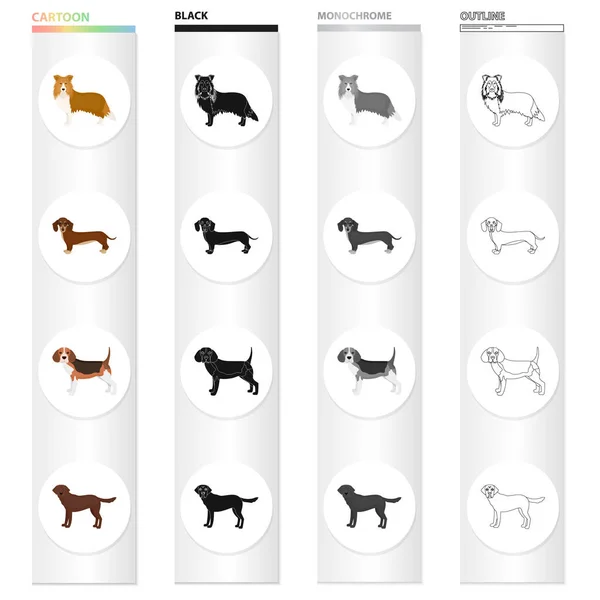 Collie, dachshund, beagle y otro icono web en estilo de dibujos animado.Perro, animal, doméstico, iconos en la colección de conjuntos . — Vector de stock