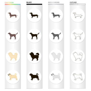 Dachshund, chow chow, pug doğurmak, labrador köpek. Köpek ırkları toplama simgeler çizgi film siyah tek renkli anahat stili vektör simge stok çizim web içinde ayarla..