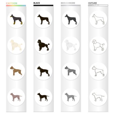 Doberman, köpek fino köpeği, boksör, doğurmak çukur boğa. Köpek ırkları toplama simgeler çizgi film siyah tek renkli anahat stili vektör simge stok çizim web içinde ayarla..