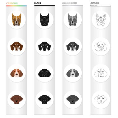 Bernard, doğurmak, takım elbise ve diğer kutsal kişilerin resmi içinde karikatür tarzı web. Köpek, hayvan, ana sayfa, simgeler koleksiyonu ayarla.