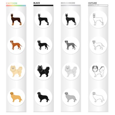 Doberman, beagle, pomeranian ve diğer web simgesi karikatür tarzı. Köpek, hayvan, Aile içi, simgeler koleksiyon küme..