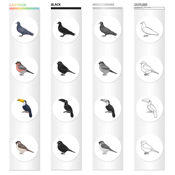 鳩、歌ウソ、熱帯の鳥、トゥカン、小さな軌道。鳥は漫画白黒黒のアウトライン スタイル ベクトル シンボル ストック イラスト web コレクションのアイコンを設定. — ストックベクタ