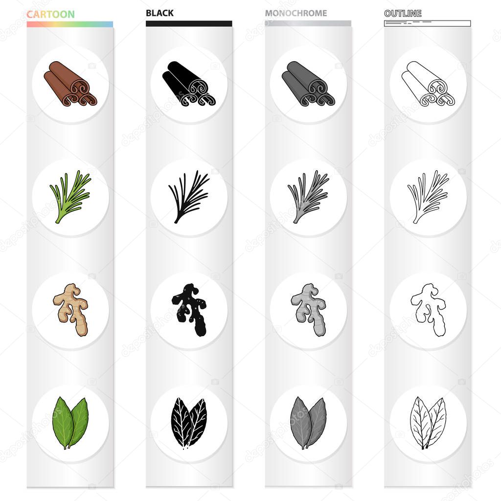 Cinnamon bark, spicy rosemary, ginger root, bay leaf. Spices set collection icons in cartoon black monochrome outline style vector symbol stock illustration .