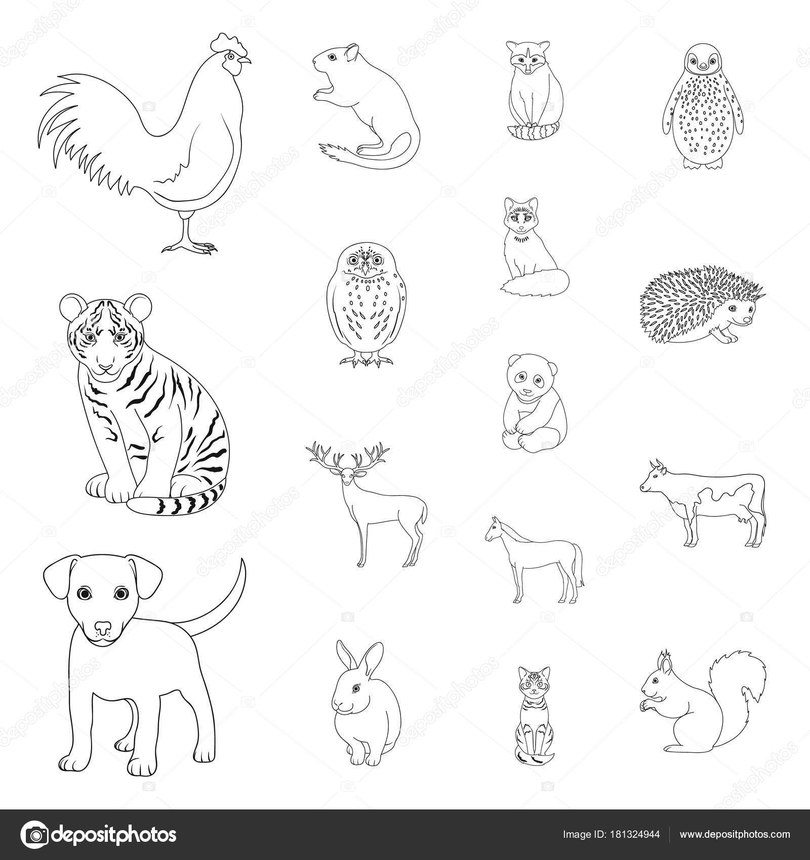 Realistic animals outline icons in set collection for design. Wild and domestic  animals vector symbol stock web illustration. Stock Vector Image by  ©PandaVector #181324944