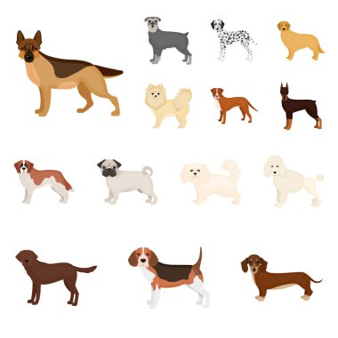 Köpek ırkları set koleksiyonu tasarım için simgeleri karikatür. Köpek evde beslenen hayvan vektör simge stok web çizim.