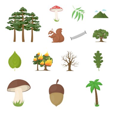 Set koleksiyonu tasarım için orman ve doğa karikatür simgeler. Orman hayat vektör simge stok web çizim.