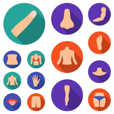 Vücut, bacak set koleksiyonu tasarım için düz simgeleri parçası. İnsan anatomisi vektör simge stok web çizimi.